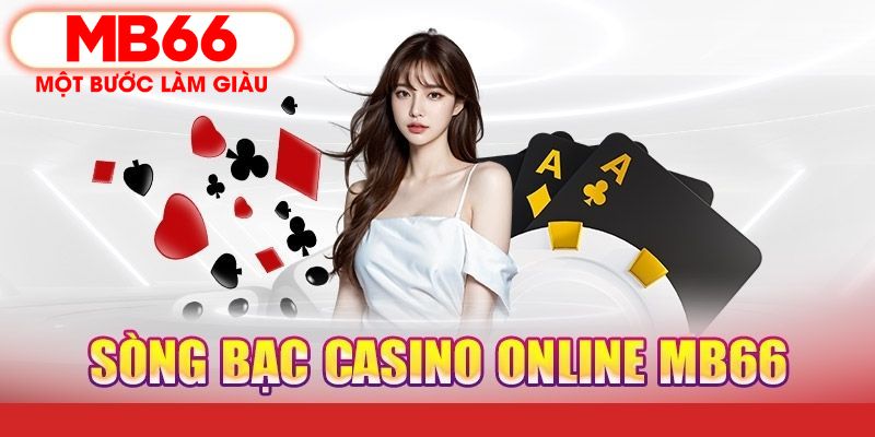 soilac PT Điện Tử