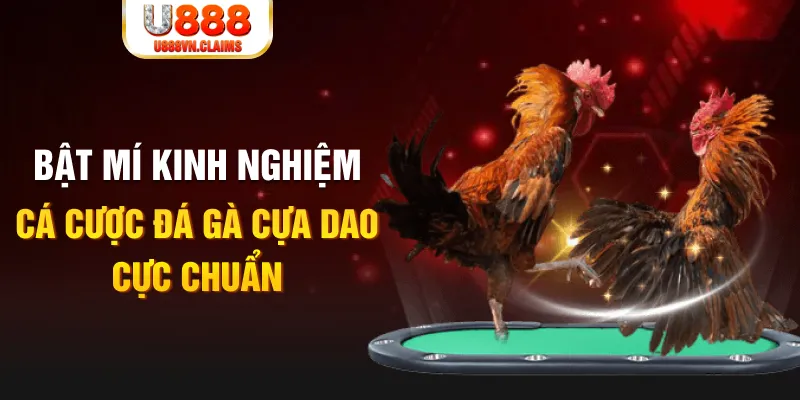 soilac casino hồ tràm có cho người việt vào không
