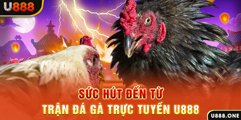 soilac đăng nhập poker 2024
