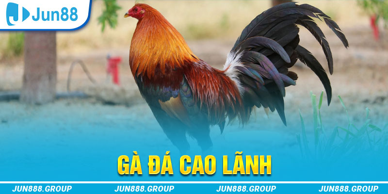 soilac tai game vua bai ve may tinh