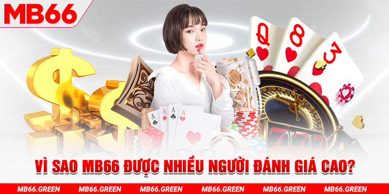 soilac ÁT CHỦ BÀI 5 LÁ