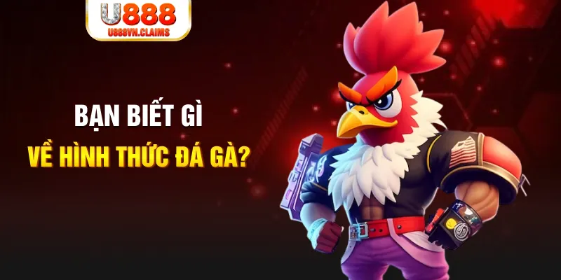 soilac đăng nhập liêng tặng tiền