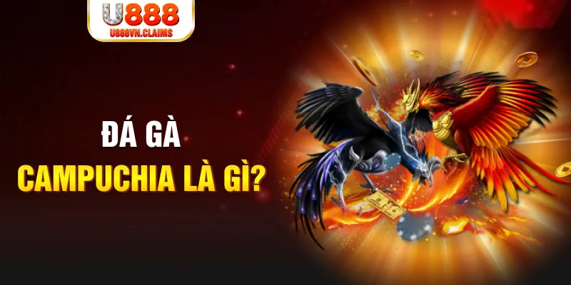 soilac what is the best online casino for real money