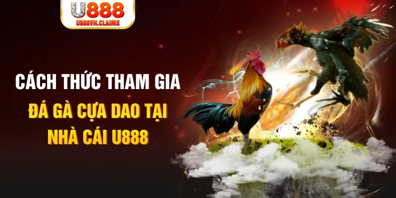 soilac đá gà 88.com