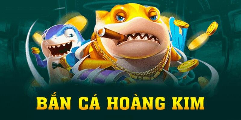 soilac bài baccarat là gì