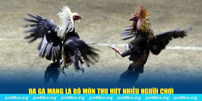 soilac đăng nhập sòng bạc số 1