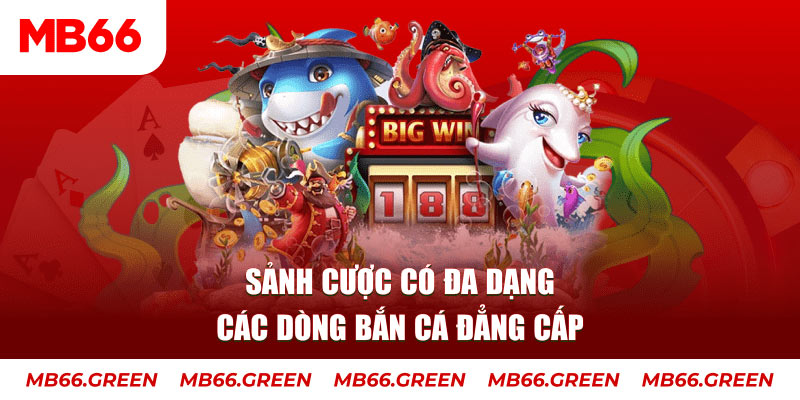 soilac xổ số đại phát