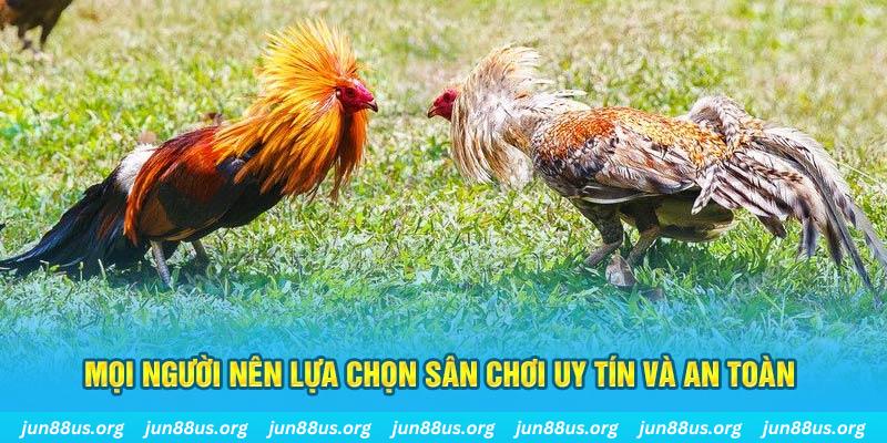 soilac đăng nhập poker 2025