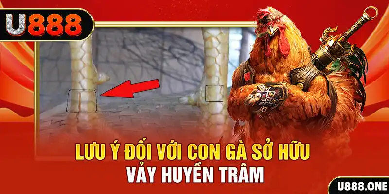 soilac tải game đánh bài tiến lên miền nam về máy tính