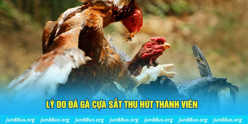 soilac nổ hũ ăn bao nhiêu