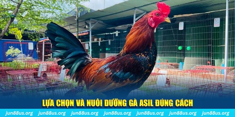 soilac nổ hũ thần tài là gì