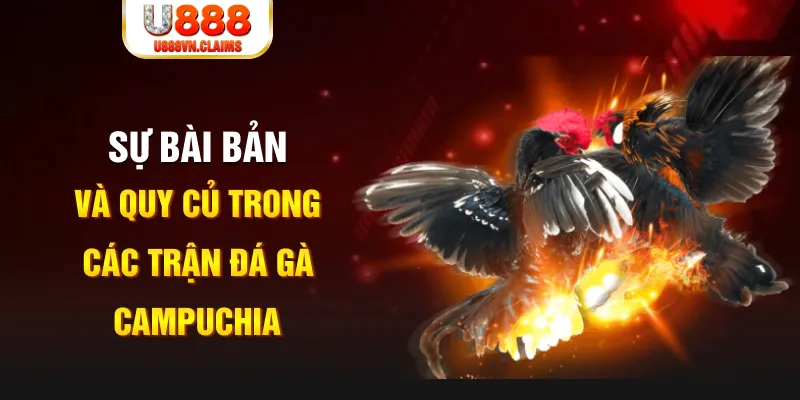 soilac game xếp bài trên máy tính