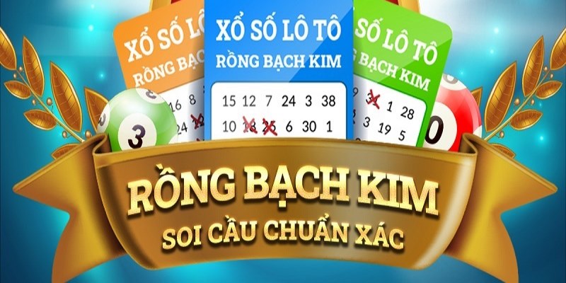 soilac NE Điện Tử