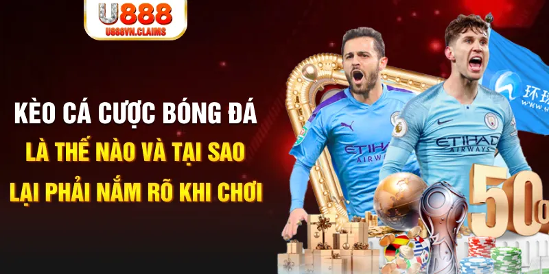 soilac gà chọi c1 mới nhất