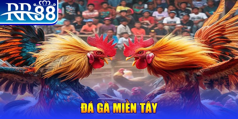 soilac đăng nhập liêng đổi thưởng