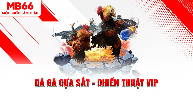soilac slot out là gì