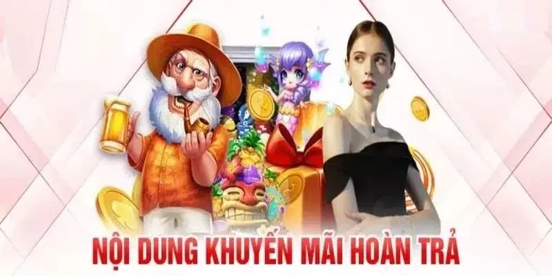 soilac ga choi hoa phong