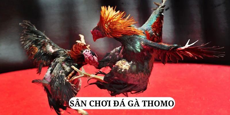 soilac quay nổ hũ là gì