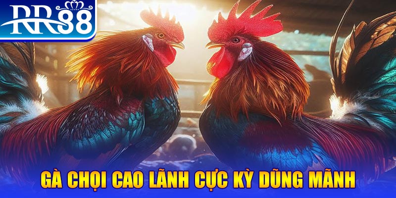 soilac đăng nhập poker live